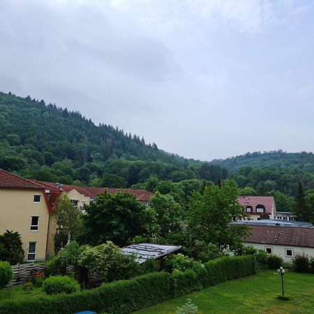 Pension Kreihe Im Harz Bad Lauterberg Bagian luar foto