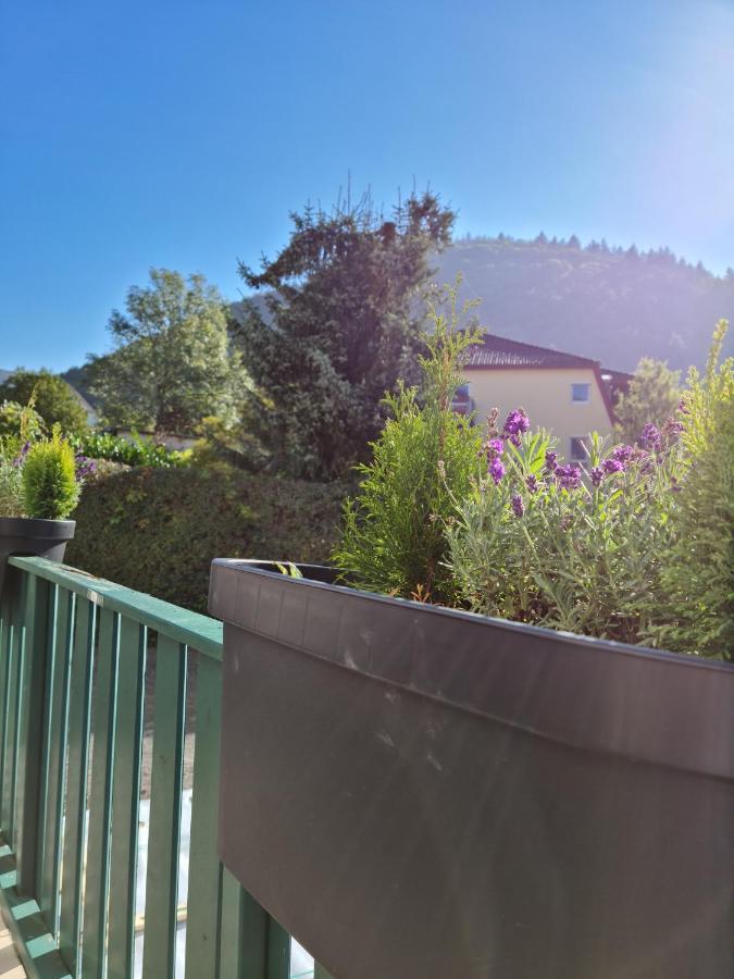Pension Kreihe Im Harz Bad Lauterberg Bagian luar foto